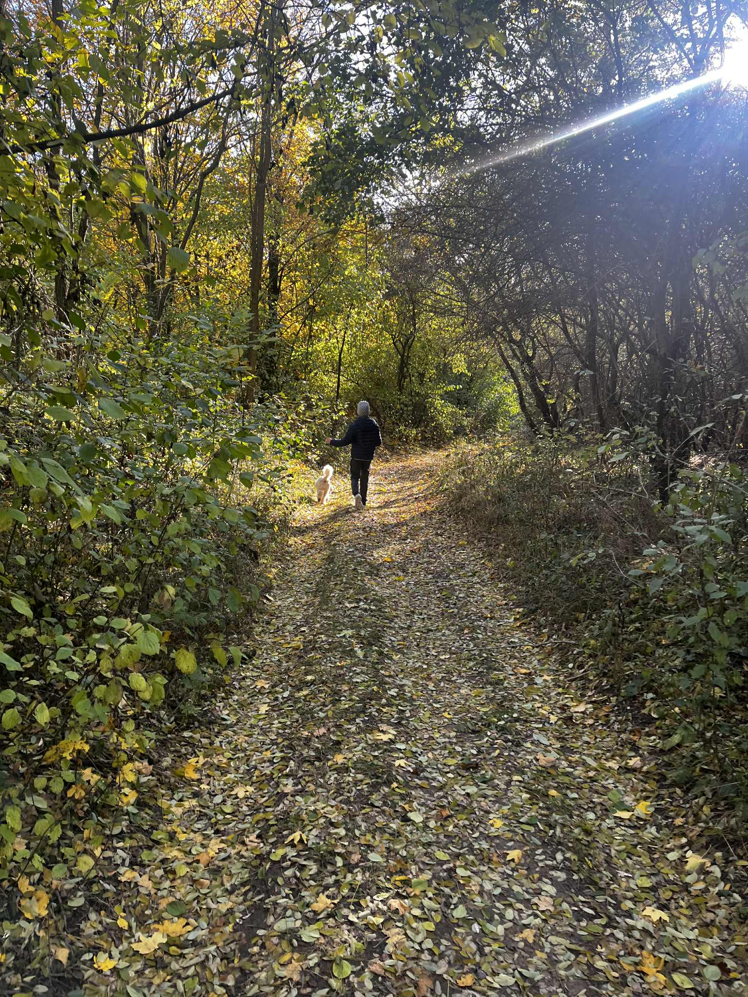 Kirándulás a természetben